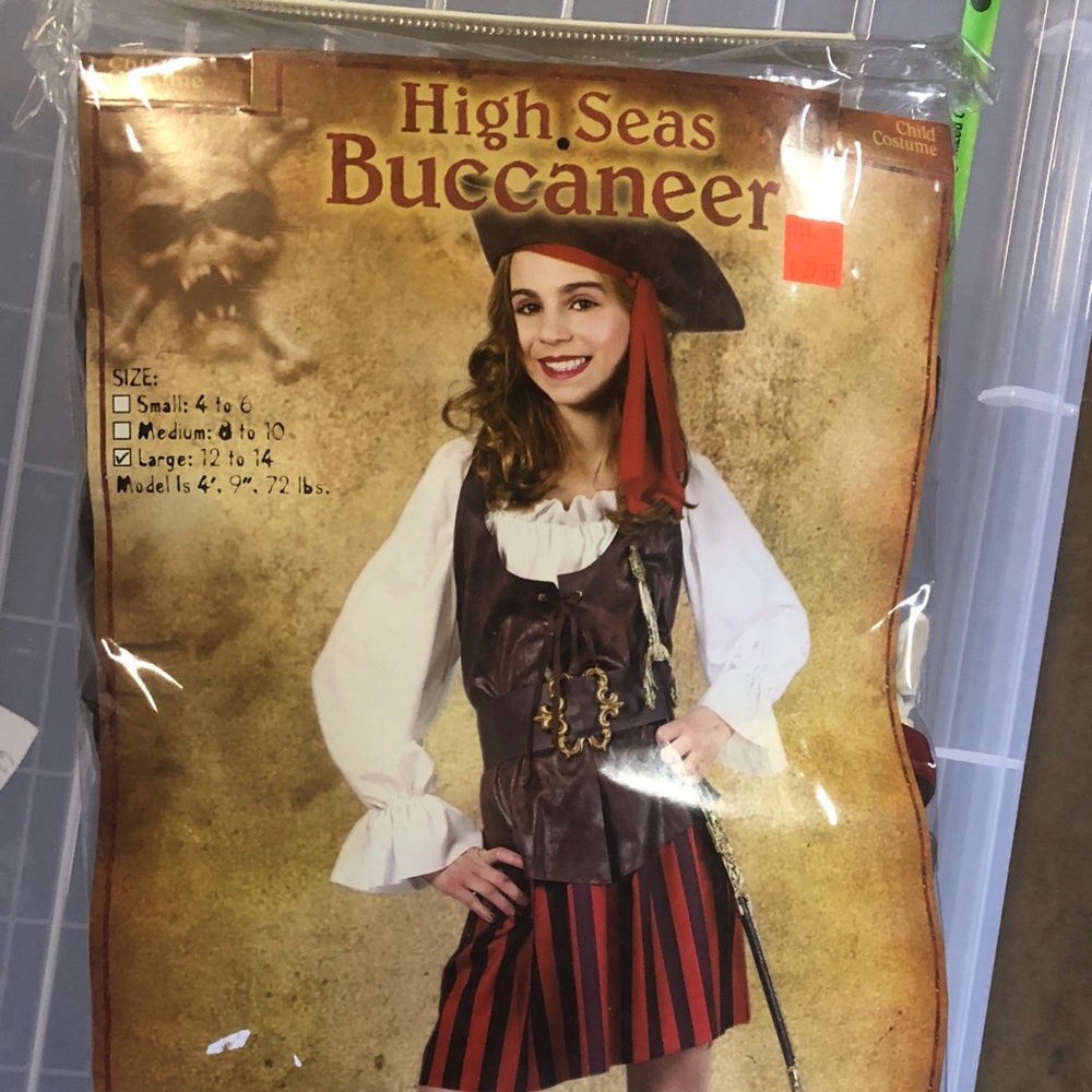 High Seas Buccaneer Halloween Costume